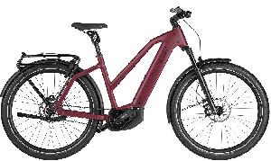 RIESE & MÜLLER Charger5 Mixte pinion