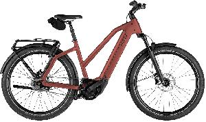 Riese & Müller Charger