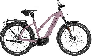 Riese & Müller Charger
