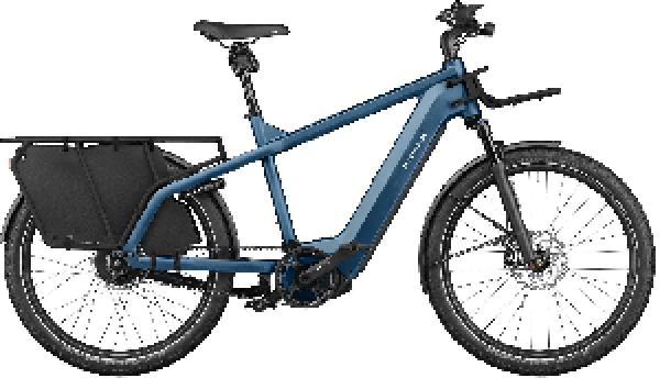 RIESE & MÜLLER Multicharger2 GT vario