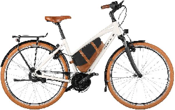 RIESE & MÜLLER Cruiser2 Mixte vario