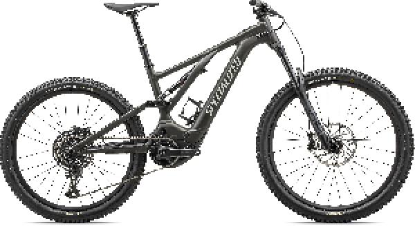 Specialized Turbo Levo Alloy