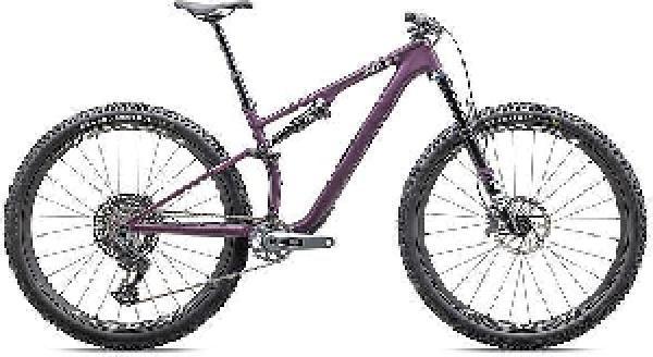 Specialized Epic 8 EVO Expert