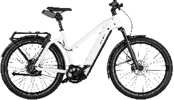 RIESE & MÜLLER Charger4 Mixte GT vario SELECT