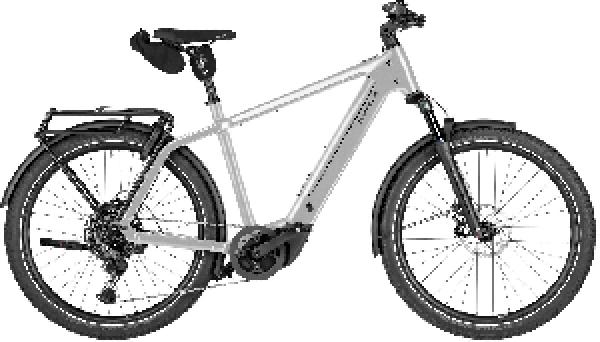 RIESE & MÜLLER Charger5 touring