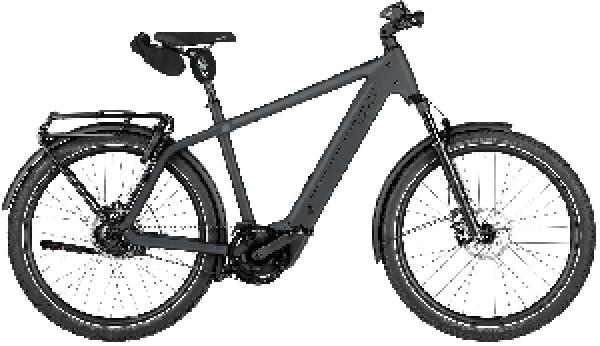 RIESE & MÜLLER Charger5 rohloff