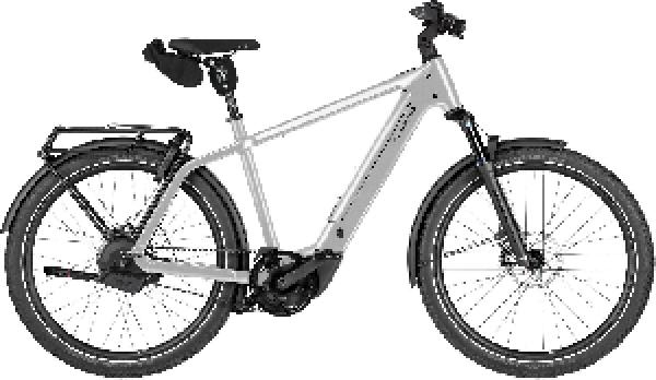 RIESE & MÜLLER Charger5 automatic