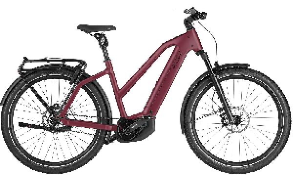 RIESE & MÜLLER Charger5 Mixte pinion