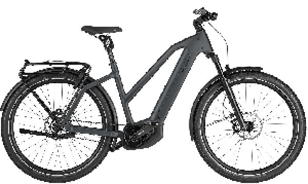 RIESE & MÜLLER Charger5 Mixte pinion