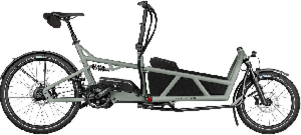 Riese & Müller Load5 60 rohloff