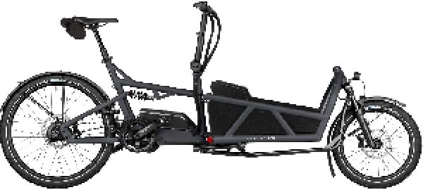 Riese & Müller Load5 60 rohloff