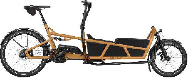 Riese & Müller Load5 75 rohloff