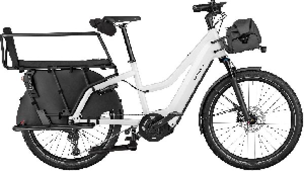 RIESE & MÜLLER Multicharger2 Mixte EASY