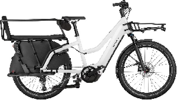 RIESE & MÜLLER Multicharger3 Mixte FAMILY