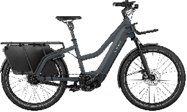 RIESE & MÜLLER Multicharger3 Mixte touring HS