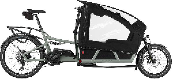 Riese & Müller Load4 75 EASY