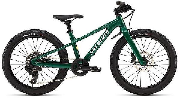 Specialized RIPROCK 20 INT