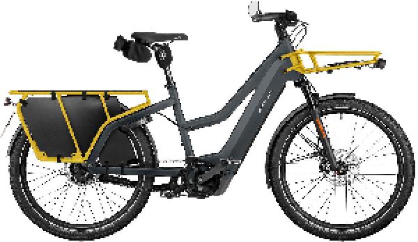 Riese & Müller Multicharger3 Mixte rohloff HS