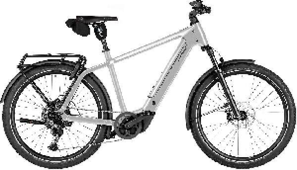 Riese & Müller Charger5 touring