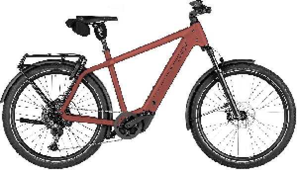 Riese & Müller Charger5 touring