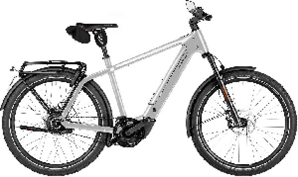 Riese & Müller Charger5 vario HS