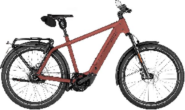 Riese & Müller Charger5 vario HS