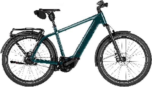 Riese & Müller Charger5 rohloff