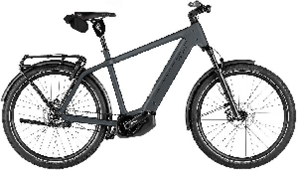 Riese & Müller Charger5 pinion