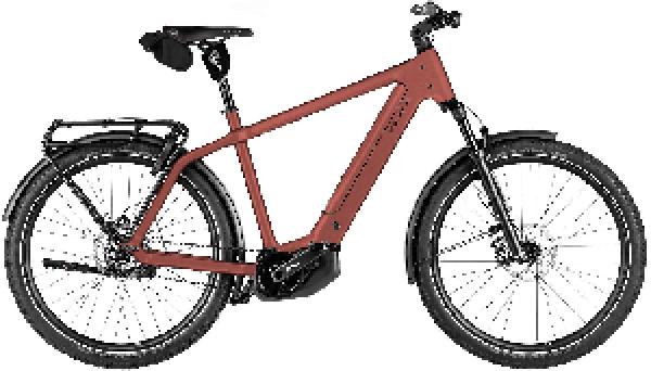Riese & Müller Charger5 pinion