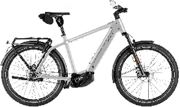 Riese & Müller Charger5 pinion HS