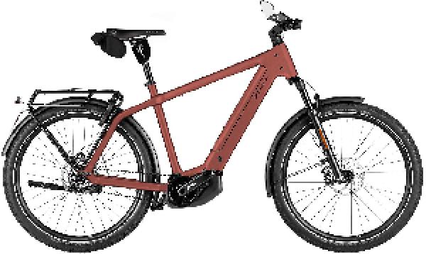 Riese & Müller Charger5 pinion HS