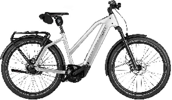 Riese & Müller Charger5 Mixte rohloff