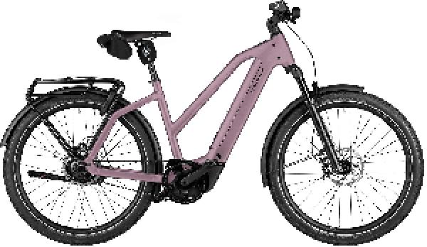 Riese & Müller Charger5 Mixte rohloff