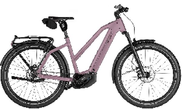 Riese & Müller Charger5 Mixte pinion