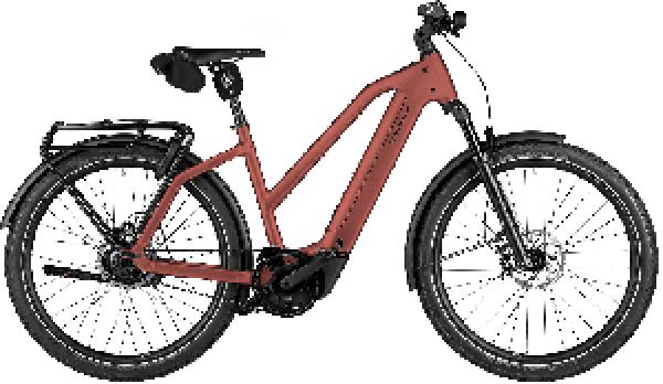 Riese & Müller Charger5 Mixte rohloff