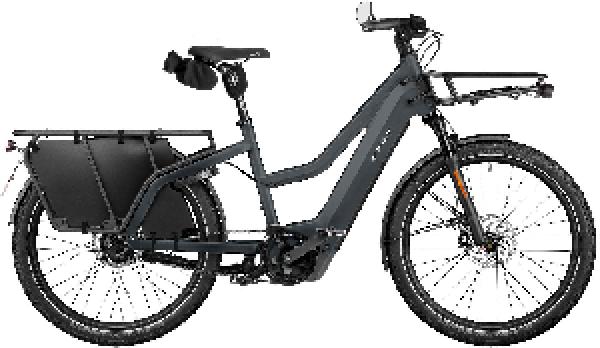 Riese & Müller Multicharger3 Mixte rohloff HS
