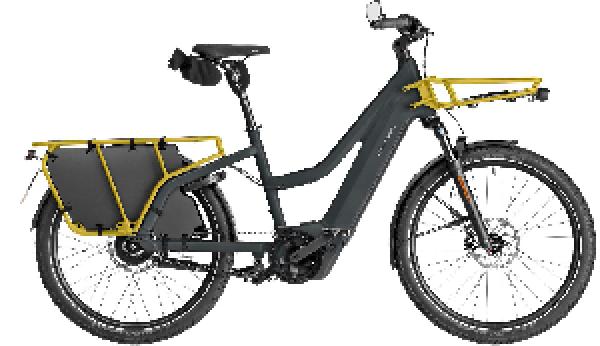 Riese & Müller Multicharger3 Mixte vario HS